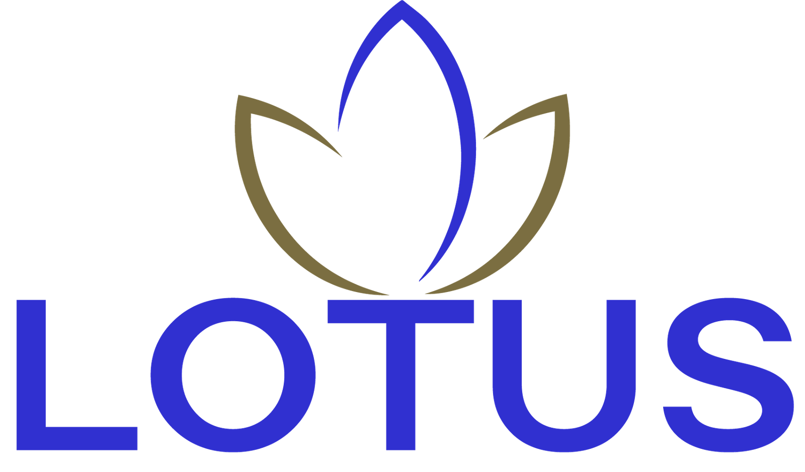 Lotus Lighting