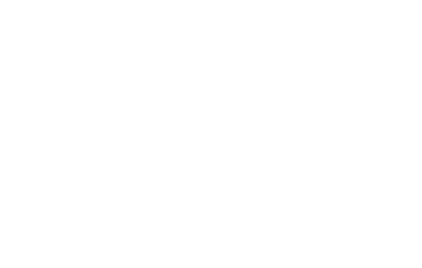 Lotus Lighting